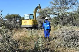 Utilisation of Namibia’s Bush Biomass: A chance for a developmental intervention to break  colonial trade pattern